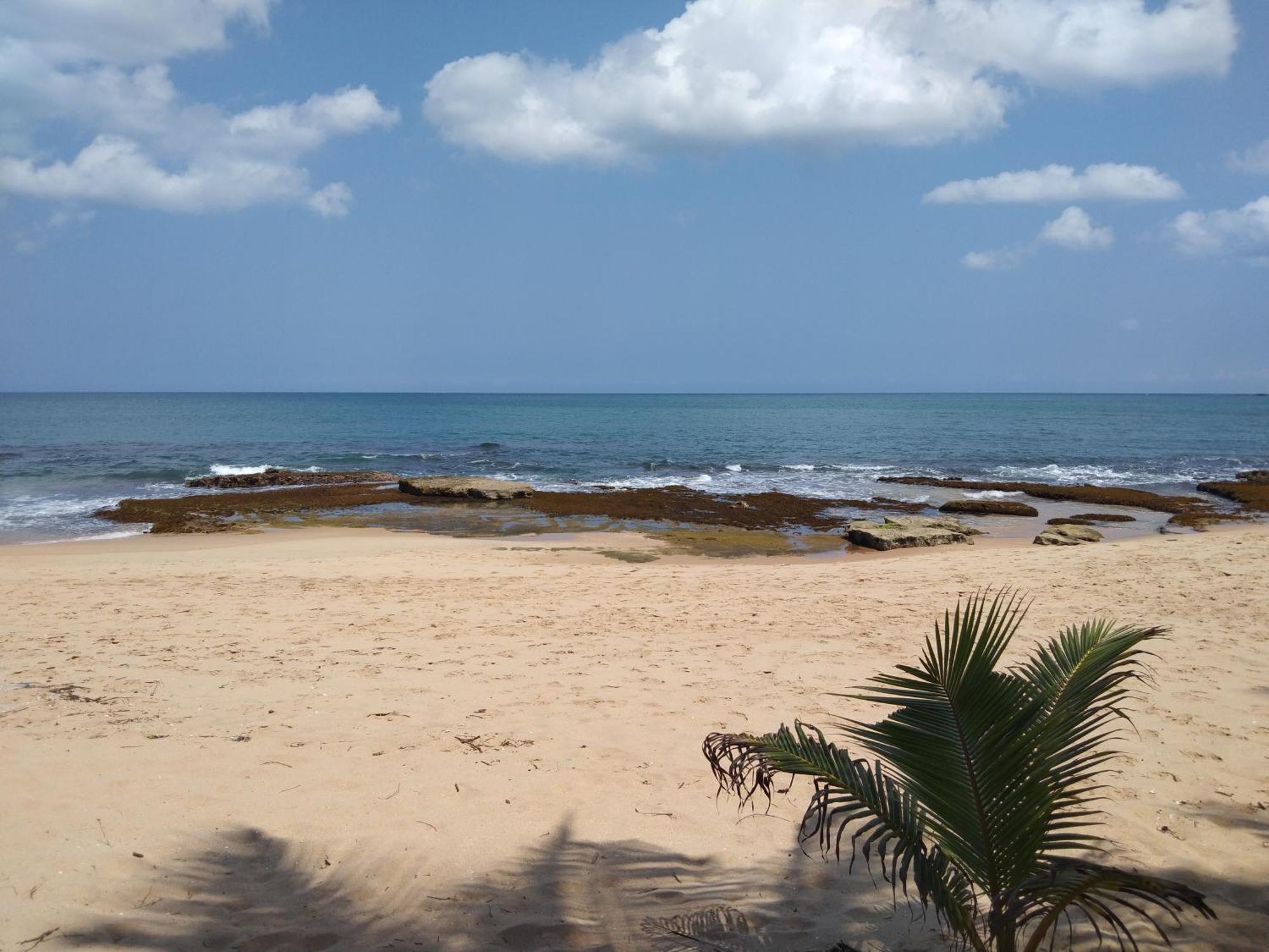 Patini Bungalows - Beach Garden Tangalle Kültér fotó