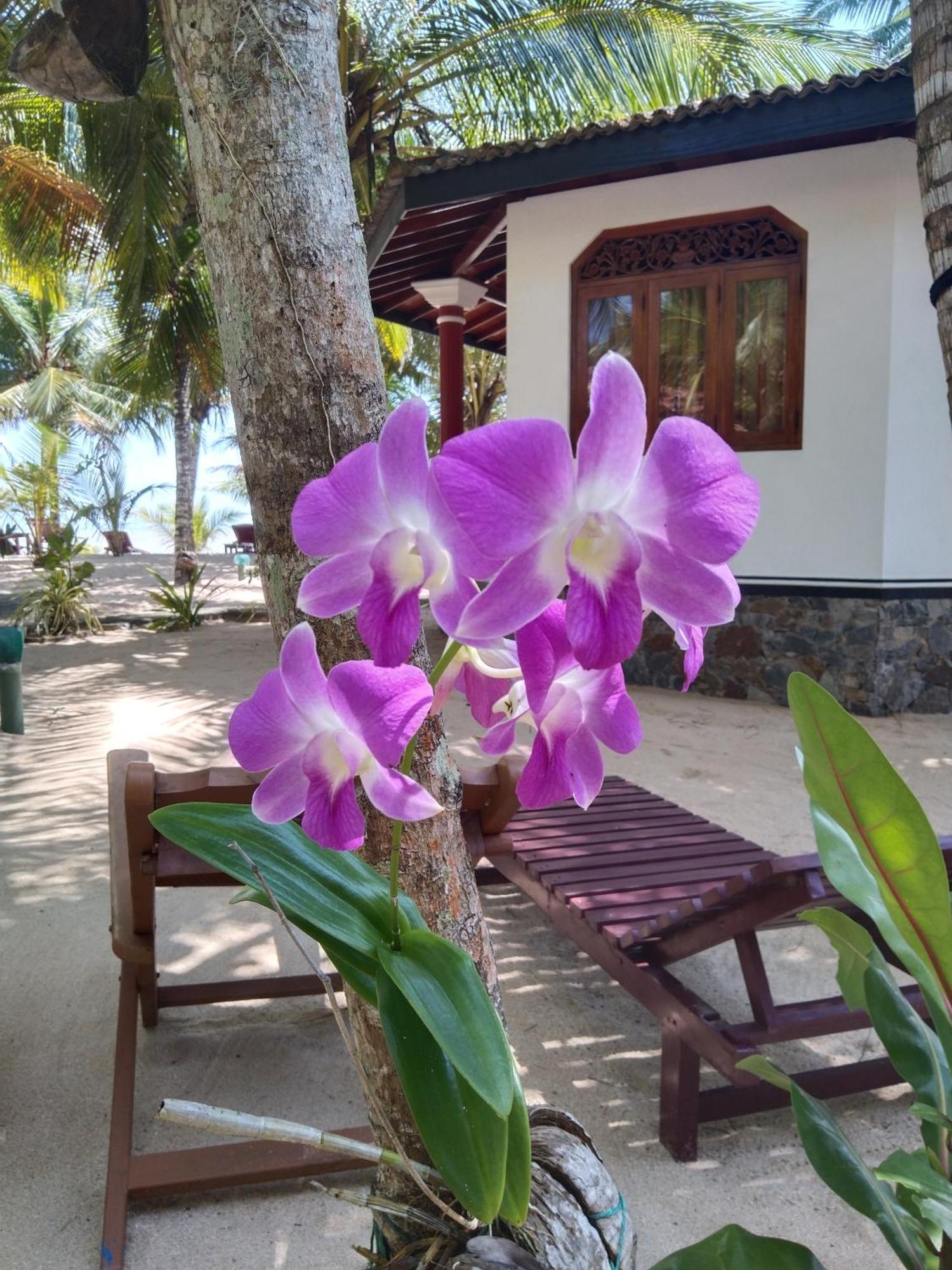 Patini Bungalows - Beach Garden Tangalle Kültér fotó