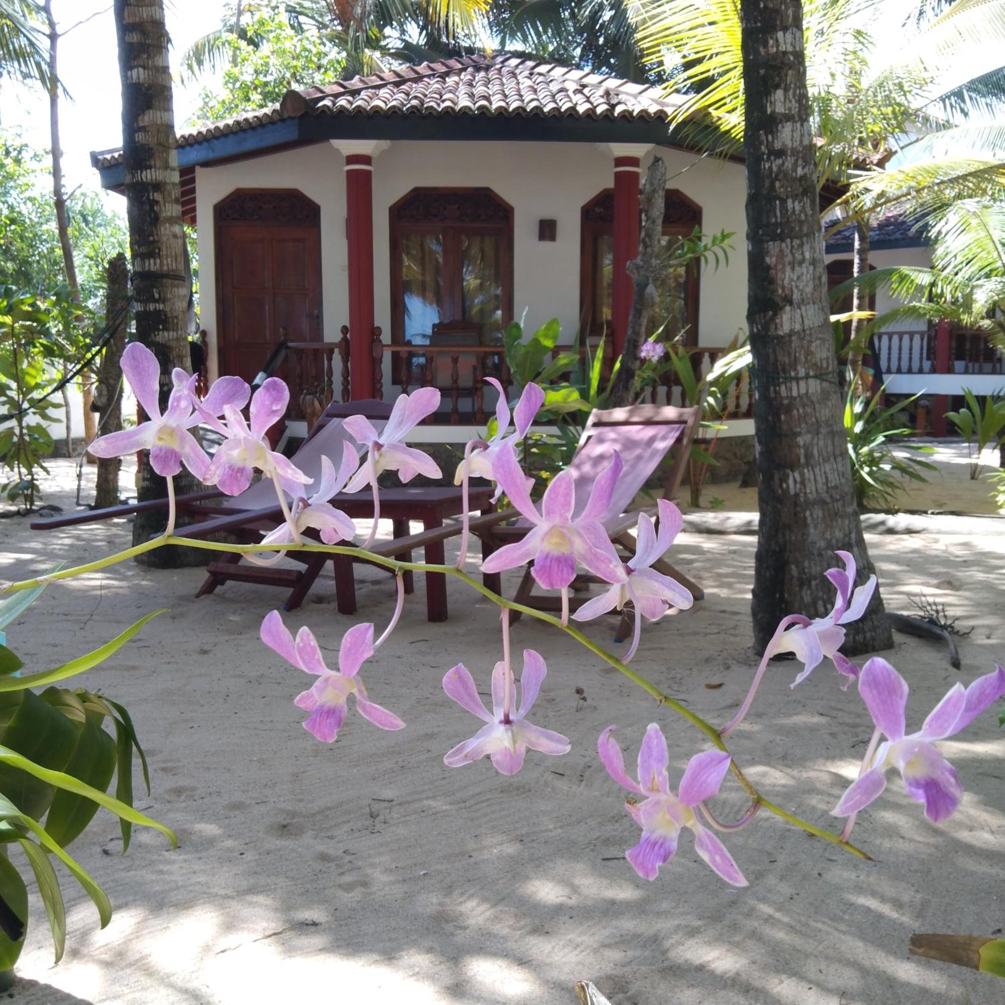 Patini Bungalows - Beach Garden Tangalle Kültér fotó