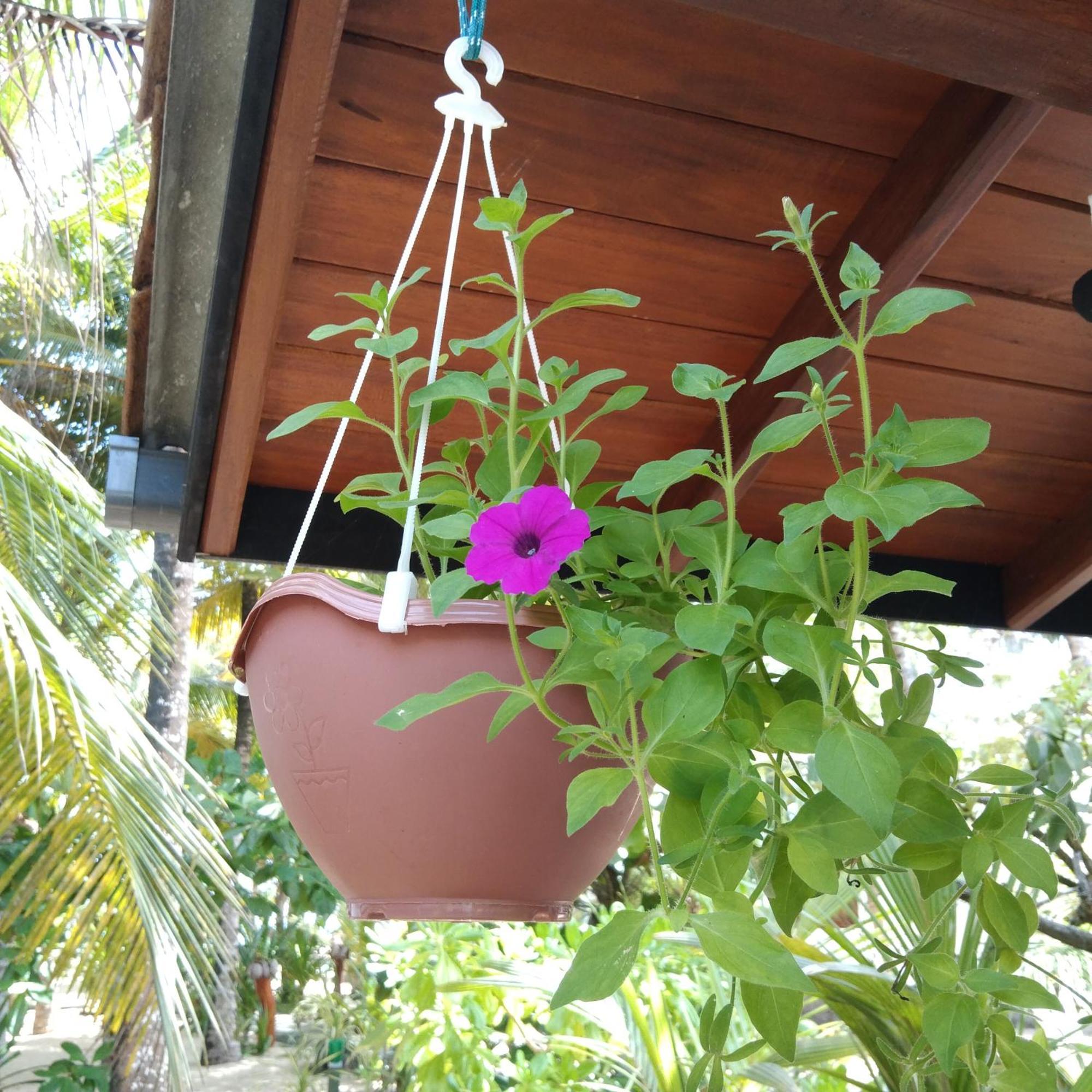 Patini Bungalows - Beach Garden Tangalle Kültér fotó