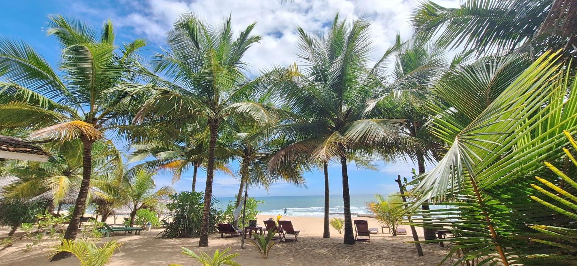 Patini Bungalows - Beach Garden Tangalle Kültér fotó