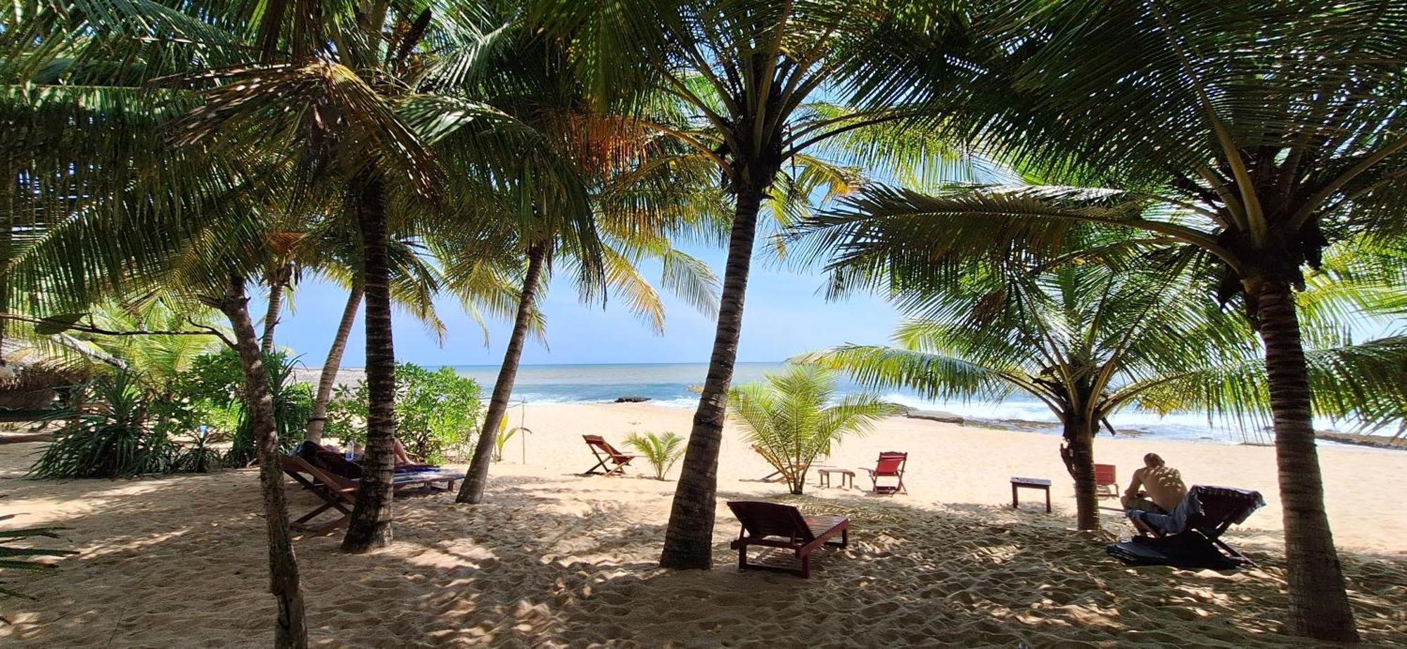 Patini Bungalows - Beach Garden Tangalle Kültér fotó