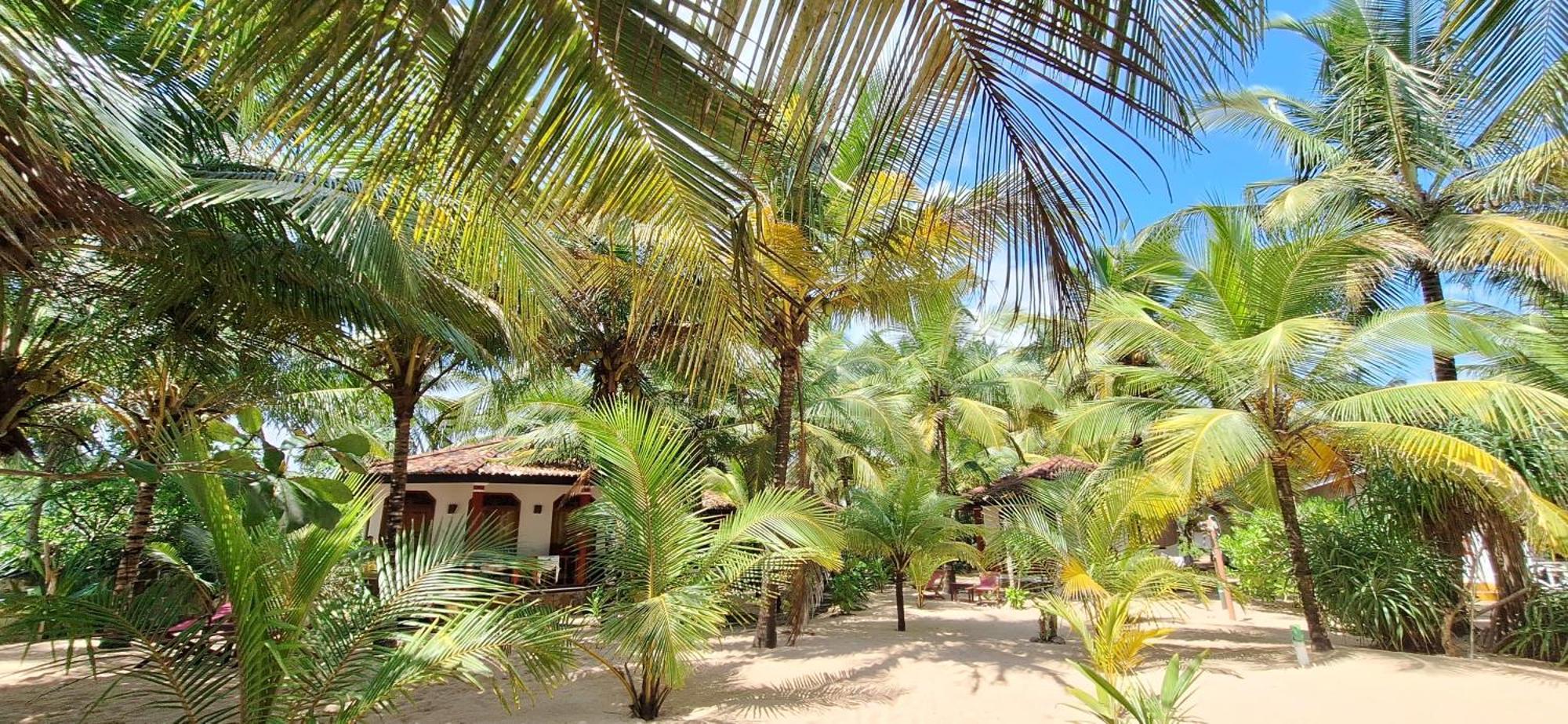 Patini Bungalows - Beach Garden Tangalle Kültér fotó