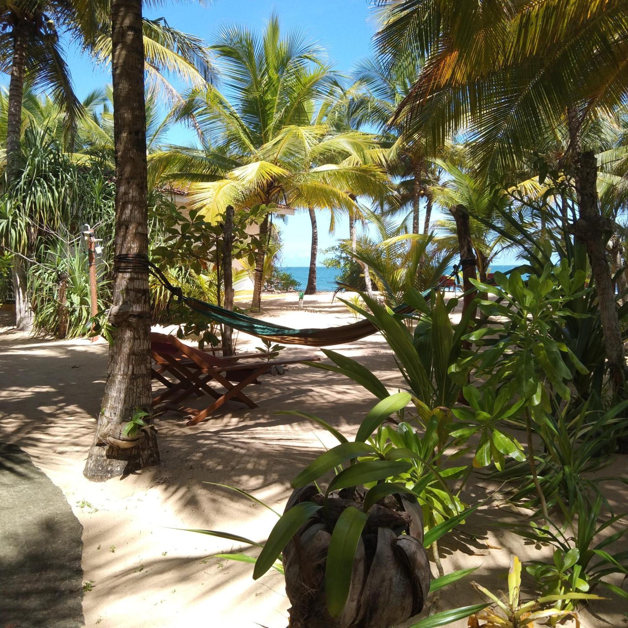 Patini Bungalows - Beach Garden Tangalle Kültér fotó
