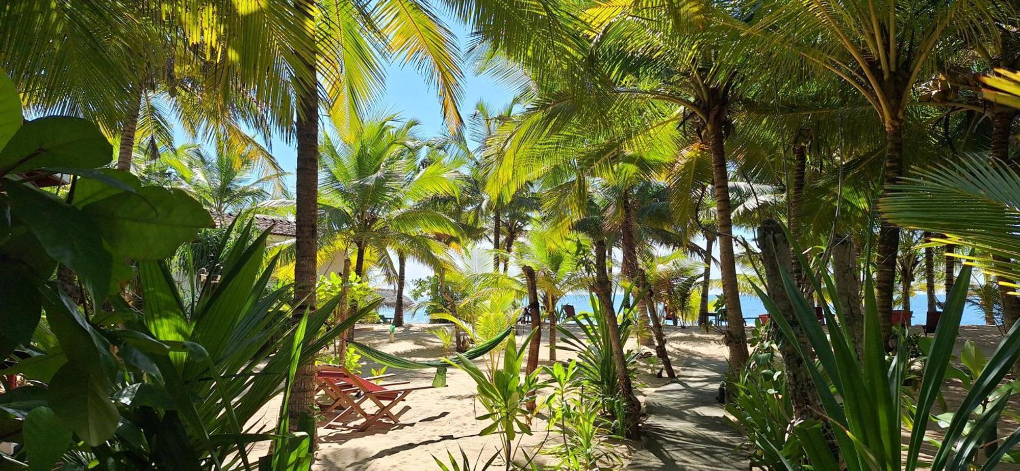 Patini Bungalows - Beach Garden Tangalle Kültér fotó
