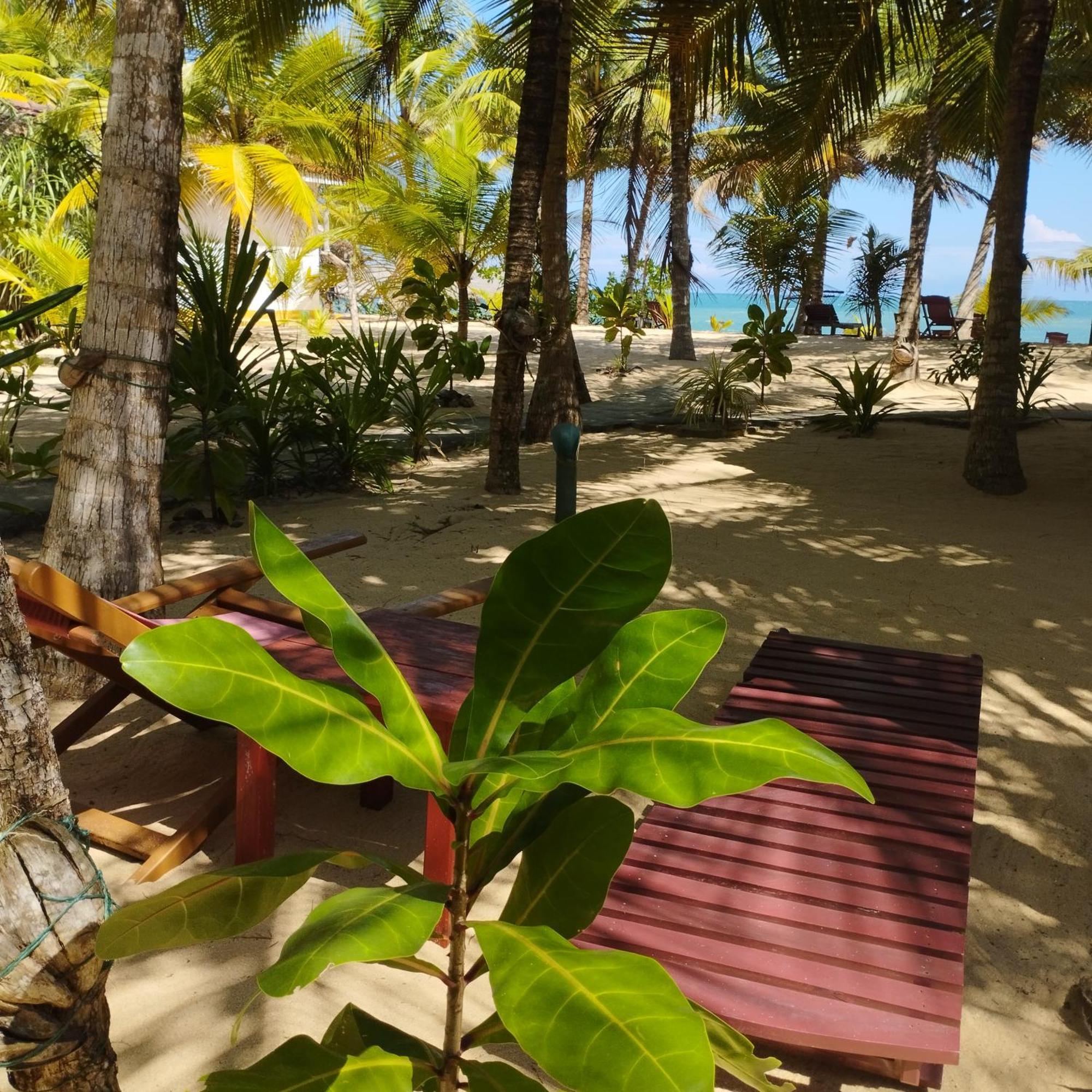 Patini Bungalows - Beach Garden Tangalle Kültér fotó
